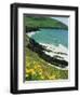 Irish Summer Colours, Dingle Peninsula, County Kerry, Munster, Republic of Ireland (Eire)-D H Webster-Framed Photographic Print