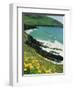 Irish Summer Colours, Dingle Peninsula, County Kerry, Munster, Republic of Ireland (Eire)-D H Webster-Framed Photographic Print