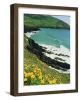 Irish Summer Colours, Dingle Peninsula, County Kerry, Munster, Republic of Ireland (Eire)-D H Webster-Framed Photographic Print