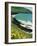 Irish Summer Colours, Dingle Peninsula, County Kerry, Munster, Republic of Ireland (Eire)-D H Webster-Framed Photographic Print