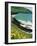 Irish Summer Colours, Dingle Peninsula, County Kerry, Munster, Republic of Ireland (Eire)-D H Webster-Framed Photographic Print