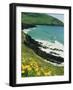 Irish Summer Colours, Dingle Peninsula, County Kerry, Munster, Republic of Ireland (Eire)-D H Webster-Framed Photographic Print
