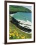 Irish Summer Colours, Dingle Peninsula, County Kerry, Munster, Republic of Ireland (Eire)-D H Webster-Framed Photographic Print