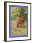 Irish Terrier Puppy-Diana Thorne-Framed Art Print