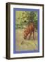 Irish Terrier Puppy-Diana Thorne-Framed Art Print