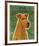 Irish Terrier-John W^ Golden-Framed Art Print