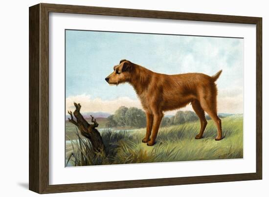 Irish Terrier-Vero Shaw-Framed Art Print