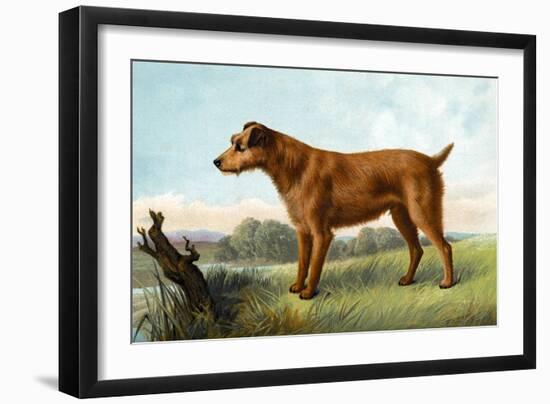 Irish Terrier-Vero Shaw-Framed Art Print