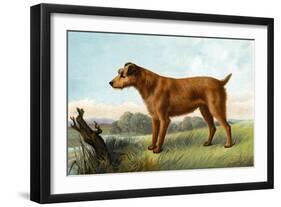 Irish Terrier-Vero Shaw-Framed Art Print