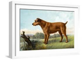 Irish Terrier-Vero Shaw-Framed Art Print