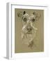 Irish Terrier-Barbara Keith-Framed Giclee Print