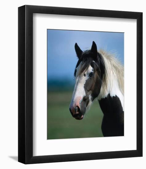 Irish Tinker-null-Framed Art Print