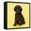 Irish Water Spaniel Dog Puppy-null-Framed Stretched Canvas