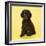 Irish Water Spaniel Dog Puppy-null-Framed Photographic Print