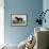 Irish Water Spaniels-Vero Shaw-Framed Art Print displayed on a wall