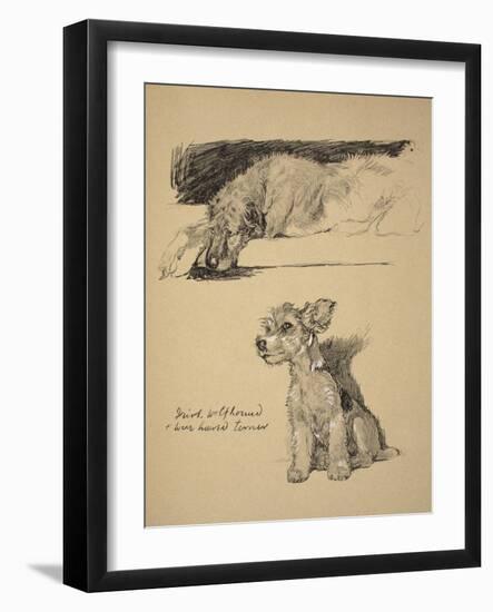 Irish Wolfhound and Wire-Haired Terrier, 1930, Just Among Friends, Aldin, Cecil Charles Windsor-Cecil Aldin-Framed Giclee Print