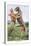 Irish Wolfhound-Louis Agassiz Fuertes-Stretched Canvas