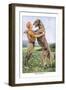 Irish Wolfhound-Louis Agassiz Fuertes-Framed Art Print