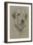 Irish Wolfhound-Barbara Keith-Framed Giclee Print