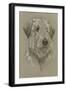 Irish Wolfhound-Barbara Keith-Framed Giclee Print