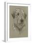 Irish Wolfhound-Barbara Keith-Framed Giclee Print