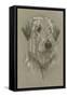 Irish Wolfhound-Barbara Keith-Framed Stretched Canvas