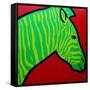 Irish Zebra-John Nolan-Framed Stretched Canvas