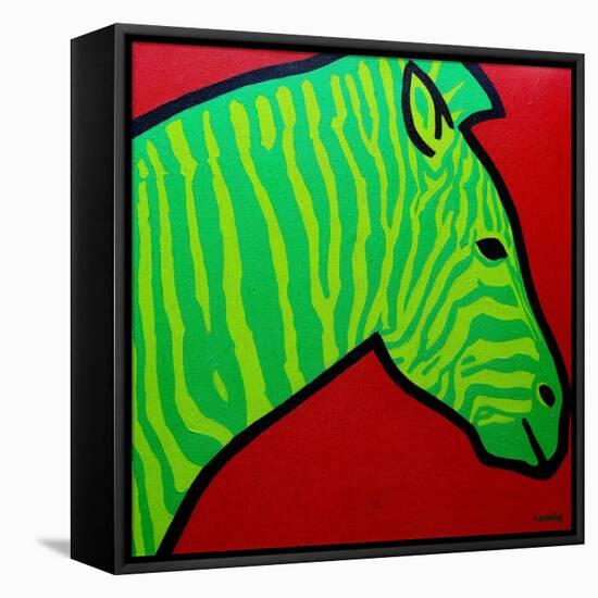 Irish Zebra-John Nolan-Framed Stretched Canvas