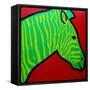 Irish Zebra-John Nolan-Framed Stretched Canvas