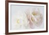 Irisia Harmony-Irene Suchocki-Framed Giclee Print