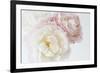 Irisia Melody-Irene Suchocki-Framed Giclee Print