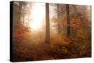 Stretched Canvas