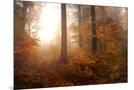Wood Mount