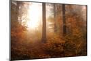 Wood Mount
