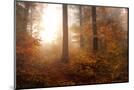 Wood Mount