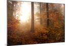 Wood Mount