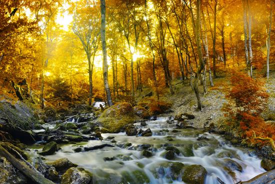 Premium Photographic Print, , large