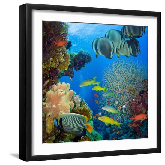 Premium Photographic Print, , large