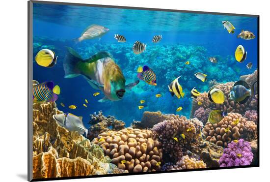 Photographic Print, , large