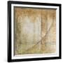 Iron and Lace III-Jennifer Goldberger-Framed Art Print