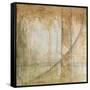 Iron and Lace III-Jennifer Goldberger-Framed Stretched Canvas