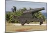 Iron cannon sitting on the outskirts of Castillo de la Real Fuerza on the western edge of Havana-Mallorie Ostrowitz-Mounted Photographic Print