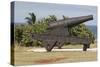 Iron cannon sitting on the outskirts of Castillo de la Real Fuerza on the western edge of Havana-Mallorie Ostrowitz-Stretched Canvas