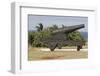 Iron cannon sitting on the outskirts of Castillo de la Real Fuerza on the western edge of Havana-Mallorie Ostrowitz-Framed Photographic Print