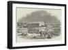 Iron Coaling Station for Steamers, at Cape Town-null-Framed Giclee Print