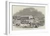 Iron Coaling Station for Steamers, at Cape Town-null-Framed Giclee Print