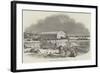 Iron Coaling Station for Steamers, at Cape Town-null-Framed Giclee Print