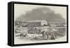 Iron Coaling Station for Steamers, at Cape Town-null-Framed Stretched Canvas