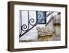 Iron Detail I -  Kotor, Montenegro-Laura DeNardo-Framed Photographic Print