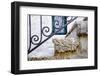 Iron Detail I -  Kotor, Montenegro-Laura DeNardo-Framed Photographic Print